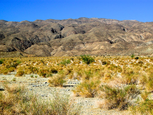 Melanie Heinrich - Travel